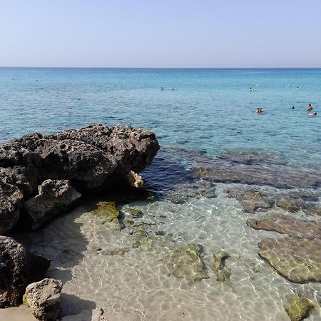 Villetta Da Fedro 莱波拉诺 外观 照片